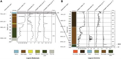 Holocene Environmental Dynamics of the Lago Cochrane/Pueyrredón Valley, Central West Patagonia (47°S)